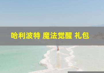 哈利波特 魔法觉醒 礼包